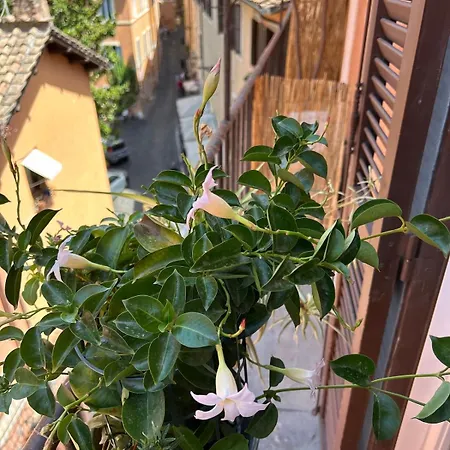 Abaco 2 Baths & Small Balcony In Trastevere