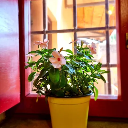 Abaco 2 Baths & Small Balcony In Trastevere Roma